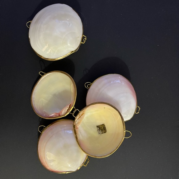 Seashell Mini Container 🐚 - Picture 5 of 6